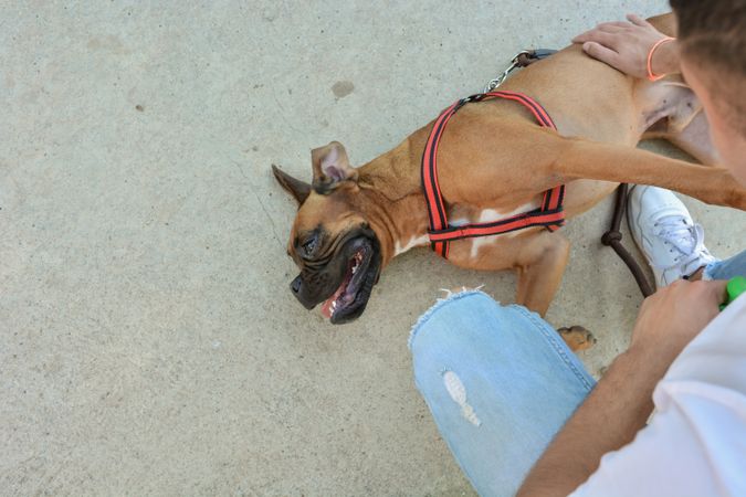 Man running and playing with his dog.