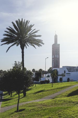 Old tower near lawn and trees in sunny day