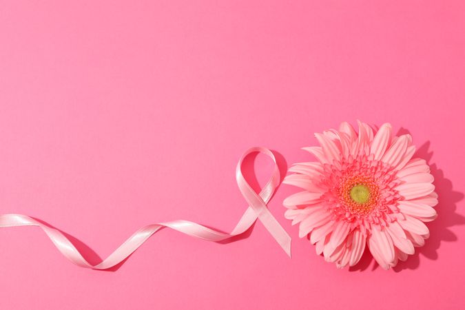Pink awareness ribbon and gerbera on color background, space for text.
