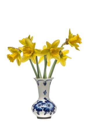 Bouquet of blooming Daffodils in a delfts blue vase at a light background
