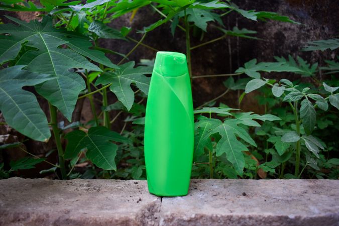 Green shampoo bottle on ledge with leaves behind