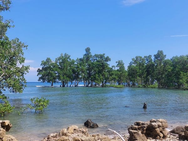 The landscape around the sea