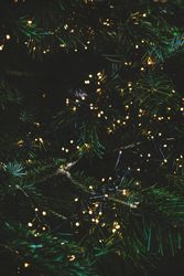 Green festive fur tree texture, vertical composition, selective focus