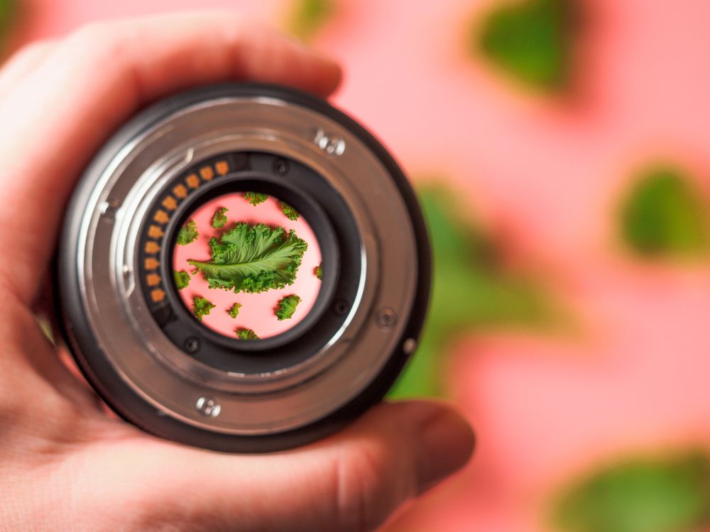 Kale in camera lens held by anonymous person