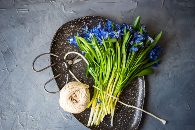 Top view of spring table setting with bunch of scilla siberica with string to bind bouquet