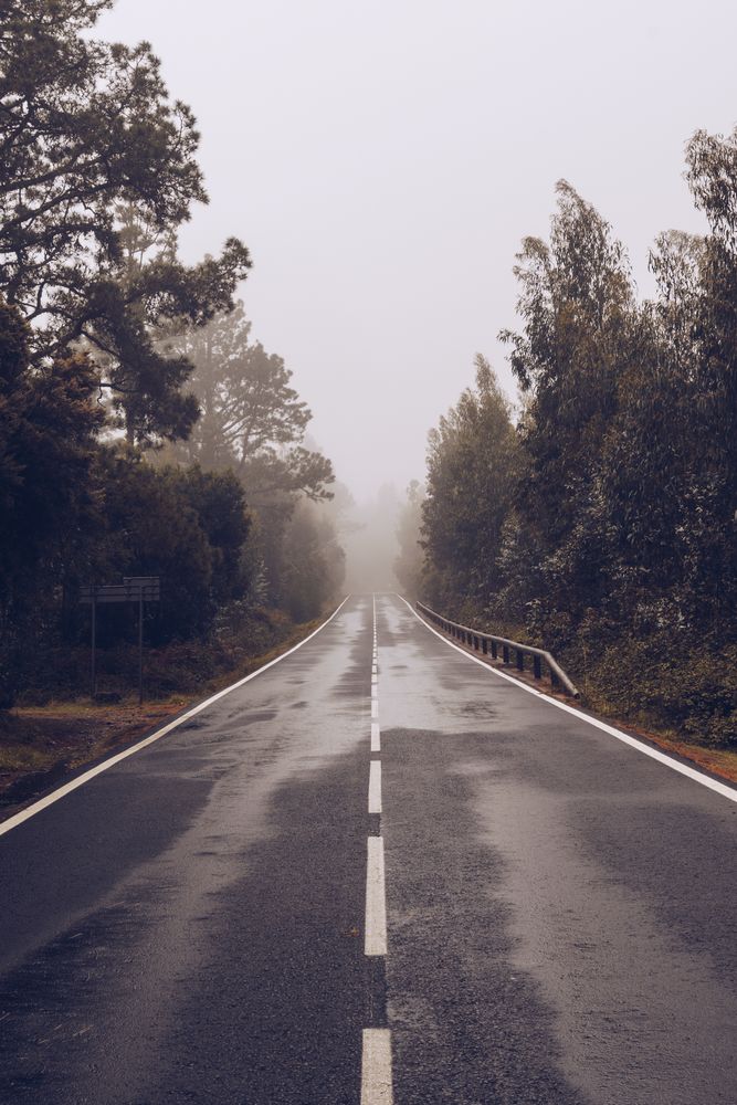 Empty road through woodland in overcast day