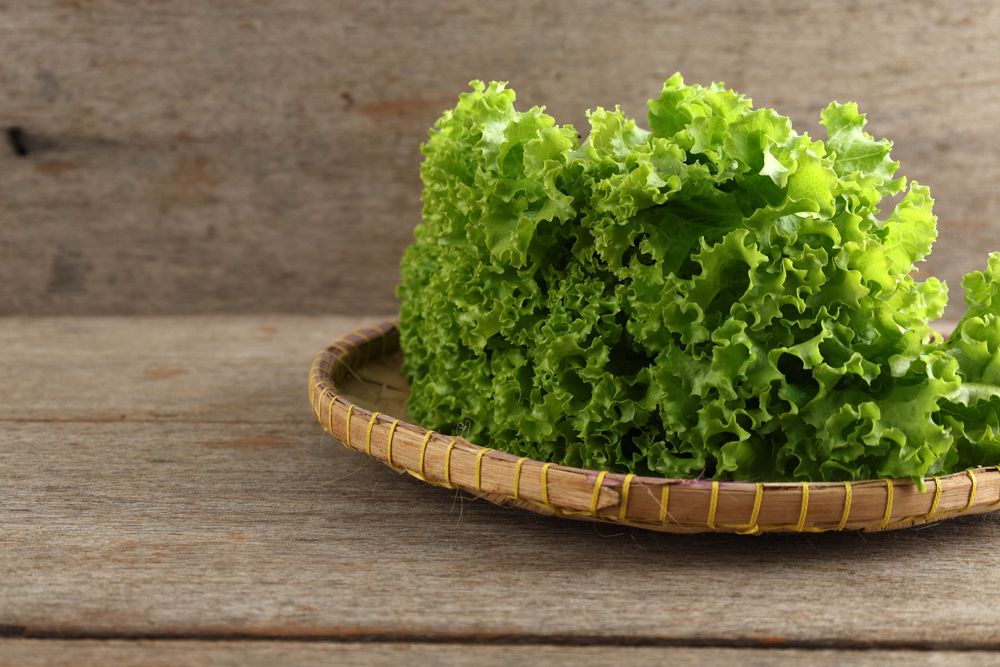 Green Fresh Lettuce on Bamboo Tray