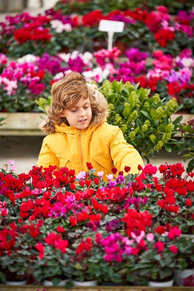 Cute boy viewing vivid flowers in pots in botanical garden