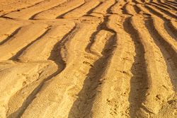 Beach Sand Texture