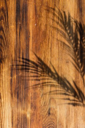 Palm leaf shadows on wooden background