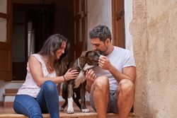 Loving couple petting dog on porch