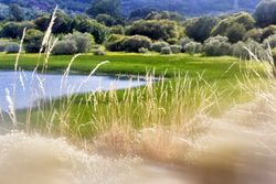 Picturesque landscape of rural nature