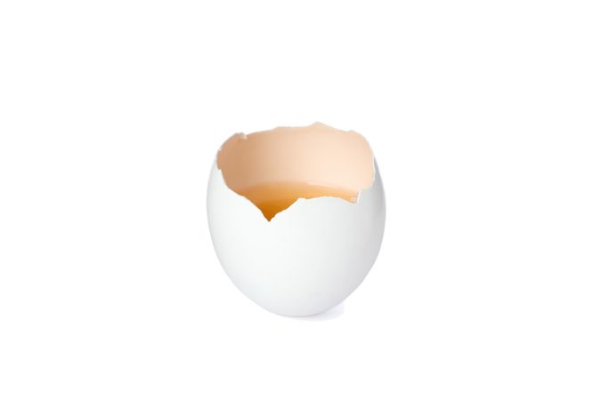 Half raw egg isolated on blank background