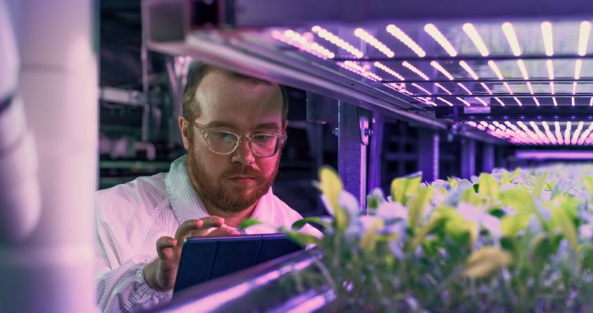 Hydroponics Engineer Inspecting and Analyzing Crops Growing Potential Before Selling. Portrait of Vertical Farm Technical Specialist Working in a Facility with Ultraviolet LED Lightning.