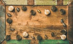 Gold and cream folded tree ornaments, arranged on wooden board with green trim, copy space