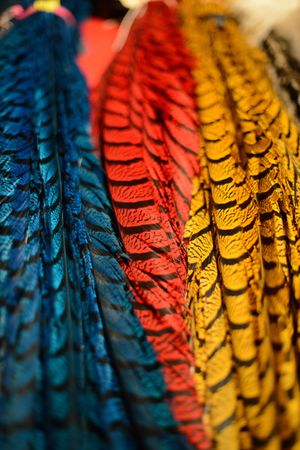 Brightly colored long feathers at Day of the Dead event