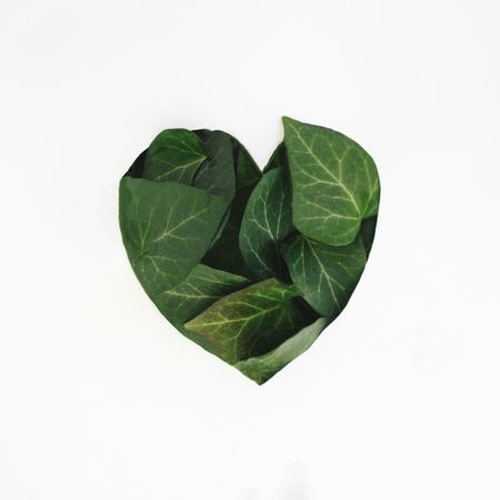 Heart made out of a leaves