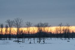 Sunrise, clouds and snow in Aiktkin County, Minnesota