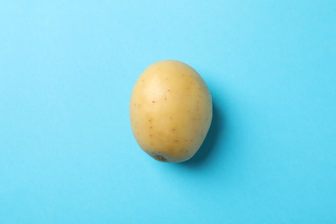Single potato on blue background, copy space