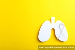 Lung shape with ribbon on yellow background with copy space 56pozb