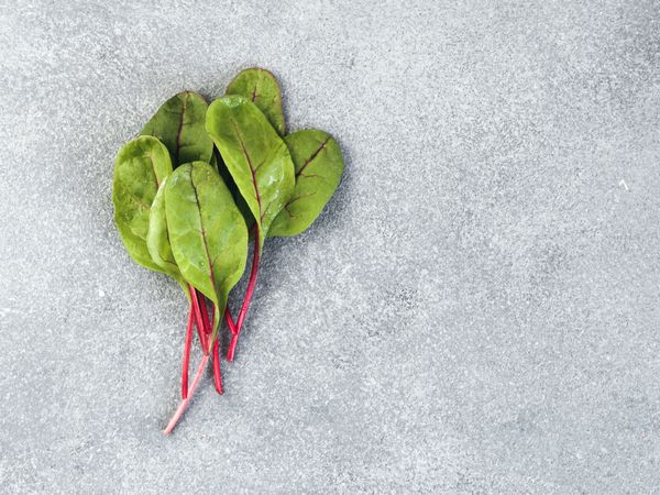 Bunch of green chard leaves or mangold