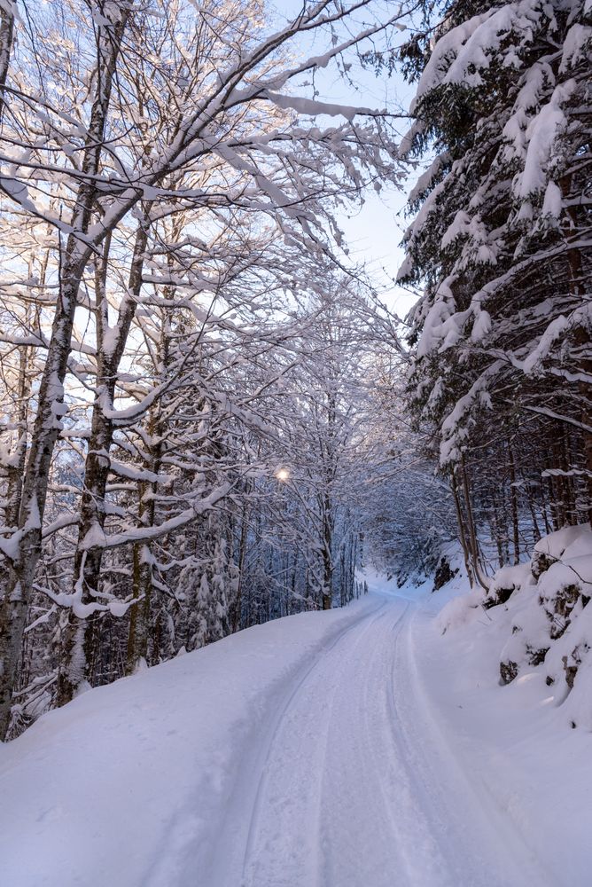 Forest road covered in snow on a sunny day in December in the Bavarian Alps.