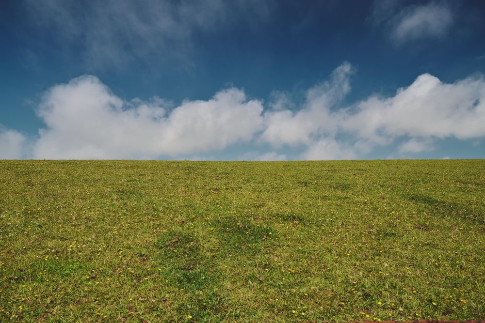 Green field under a blue sky with clouds