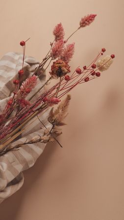 Elegant Bouquet of Dried Flowers with Rustic Textile on Peach Background