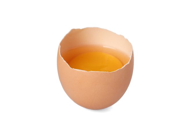 Half raw egg isolated on blank background