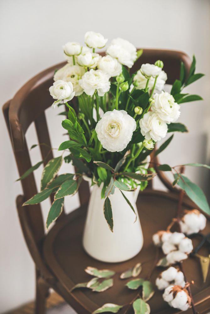 Spring buttercup flowers in enamel jug on chair