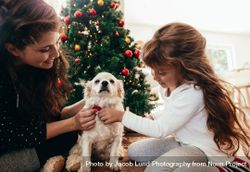 Mother and daughter tying a bow tie to their dog on Christmas 5kRvd3