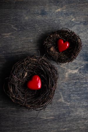 Valentine's day concept with two bird's nests with red heart ornaments
