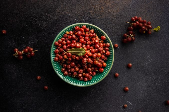 Ripe red berry of Elaeagnus Umbellata shrub in a bowl on stone background with copy space