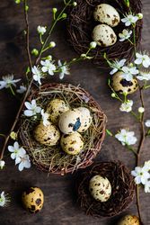 Top view of cute Easter holiday card concept of nest and speckled eggs on wooden table