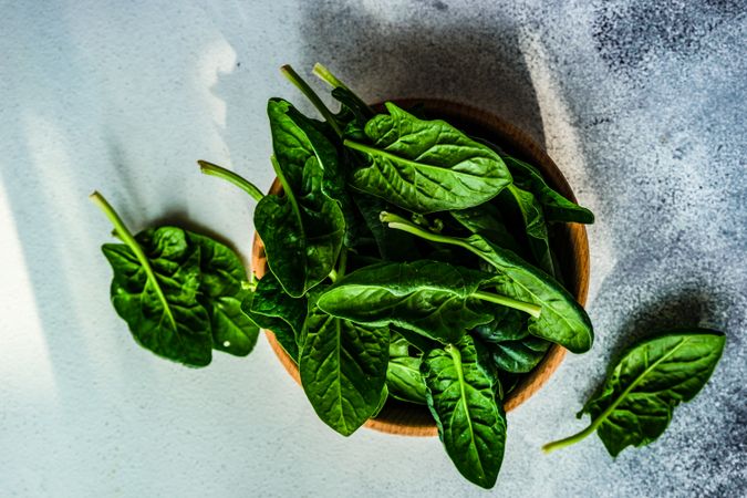 Bowl of fresh spinach on grey table with copy space
