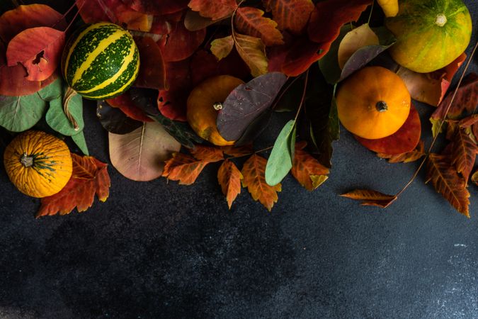 Top view of autumn leaves with gourds