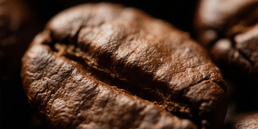 Extreme macro closeup detail of a single dark roasted coffee bean in dramatic lighting