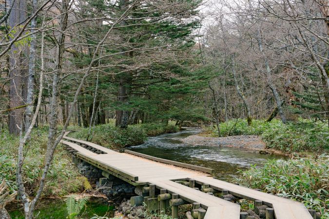 Landscape of Kamikochi trail (Japan alps / Japanese mountain)