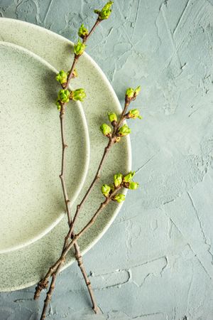 Spring table setting in rustic style decorated with cherry bloom tree branches