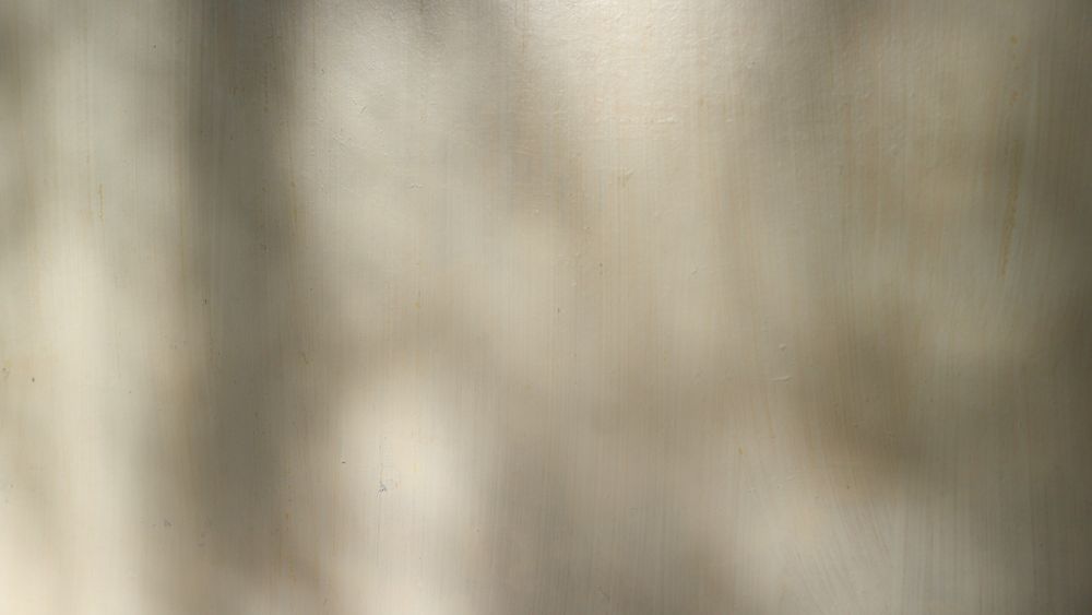 Captivating Contrast: Bone Shadow Leaf Texture