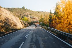 Motocyclist on road with autumnal trees