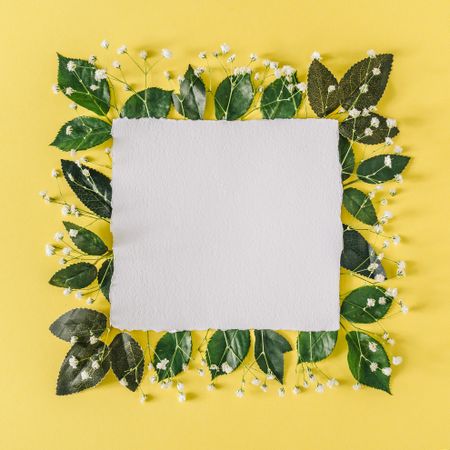 Layout with flowers and leaves on yellow background