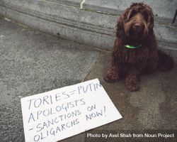 London, England, United Kingdom - March 5 2022: Dog with anti-war sign bEOWl5