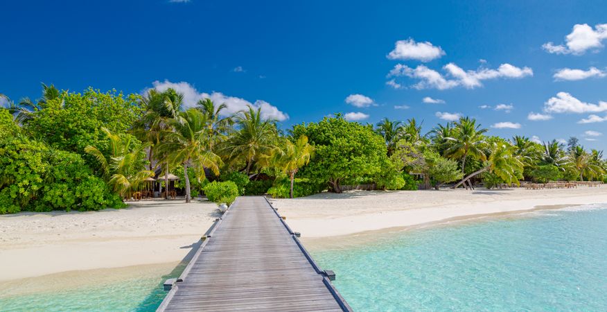 Dock leading to tropical beach, wide