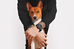 Man’s arms around a dog