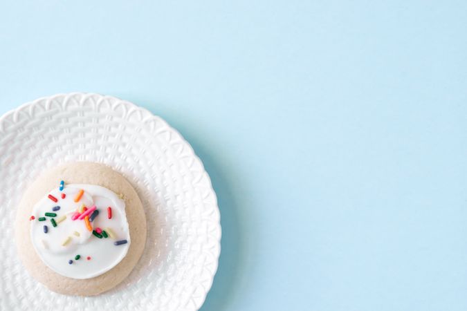 Single Sugar Cookie With Text Space
