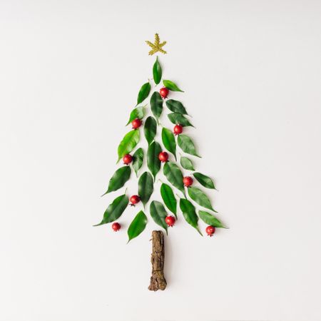 Christmas tree topped with star made of leaves, berries and branch