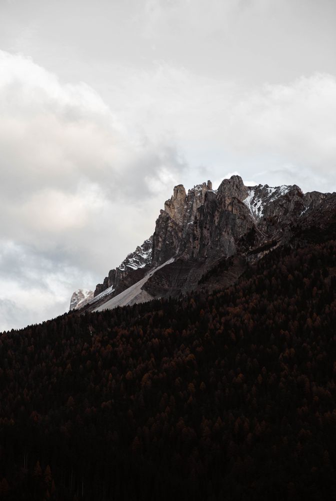 Big mountains near pine forest on cloudy weather
