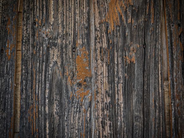 Dark Wood Texture In The Garden