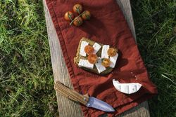 Healthy food outdoor on grass
